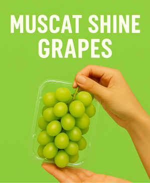 Buy 2 Regular Shine Muscat Grapes in Clamshell Packs for 500
