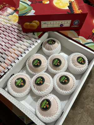 Premium Autumn Pears (sold per pc)