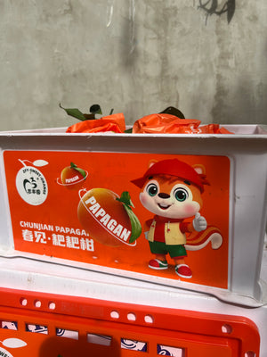 Ugly Ponkan By The Box (4kg)