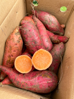Taiwan Orange Sweet Potato