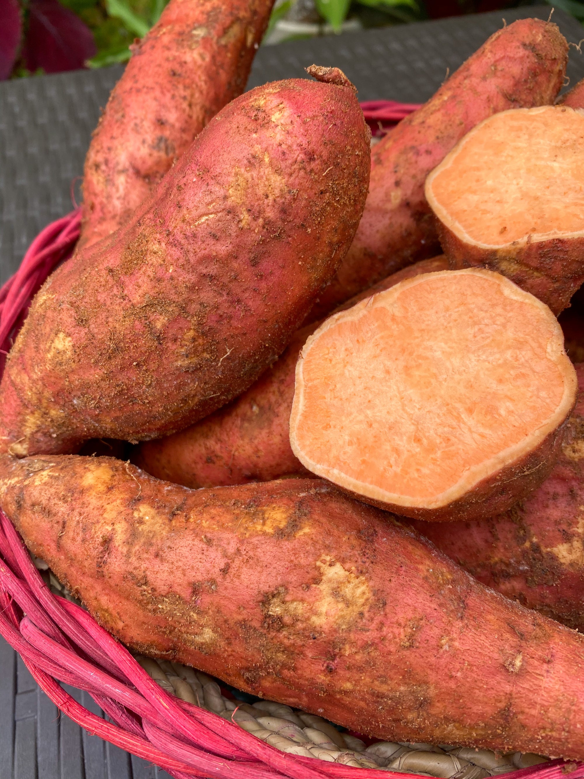 Taiwan Orange Sweet Potato
