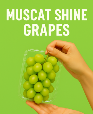 Buy 2 Regular Shine Muscat Grapes in Clamshell Packs for 500