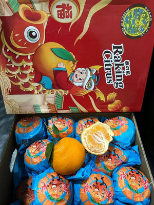 Ugly Ponkan By The Box (4kg)