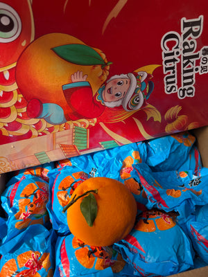 Ugly Ponkan By The Box (4kg)