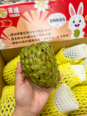 Taiwan Custard Apples (Sold per pc)