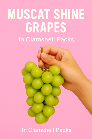 Regular Shine Muscat Grapes in Clamshell Packs