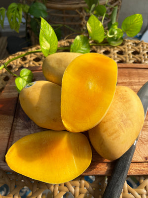 Buy 2KG Guimaras Mangoes (Approx 3pcs per 1kg) Semi Ripe to Ripe for 600