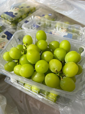 Regular Shine Muscat Grapes in Clamshell Packs