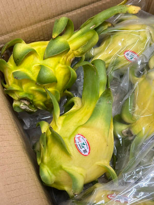 Yellow Dragonfruit (sold per pack)
