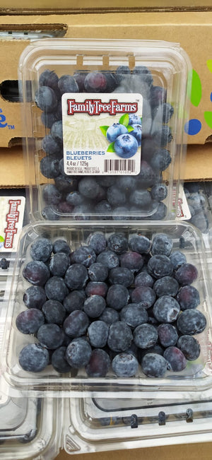 US Family Tree Farms Blueberries By The Box