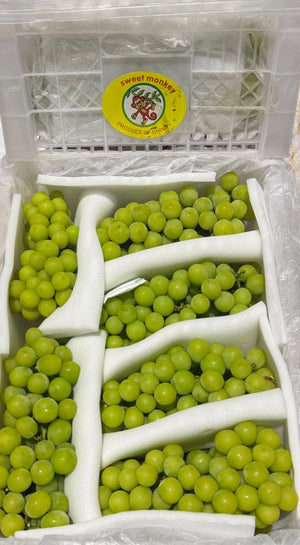 Premium Muscat in Trays
