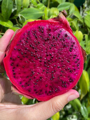 Red Dragonfruit (per kg)