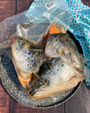 Salmon Head (V-Cut)