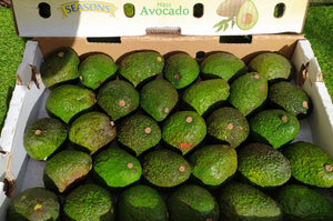 Dole Hass Avocado Buy 5 + 1 FREE