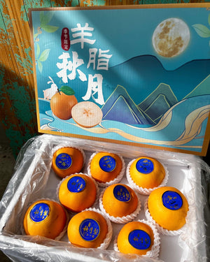 Premium Autumn Pears (sold per pc)