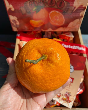 Ugly Ponkan By The Box (4kg)