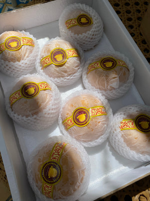 Premium Autumn Pears (sold per pc)