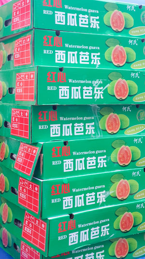 Taiwan Red Guava (per set)