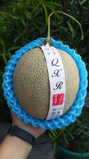 Buy 2 Japan Musk Melons for Php 1000