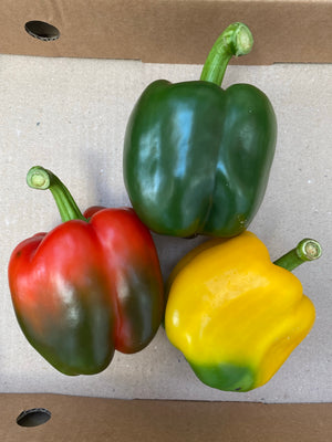 Trio Bell Pepper (sold per pack)