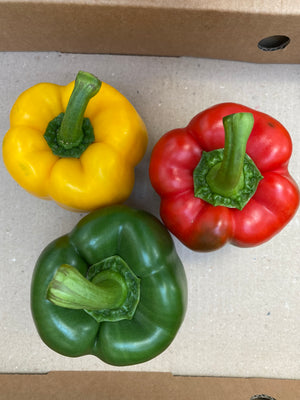Trio Bell Pepper (sold per pack)