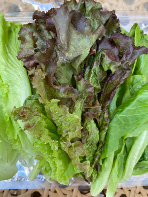 Salad Mix (sold per pack)
