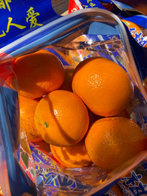 Japan Mandarin Ponkan (sold per pack)