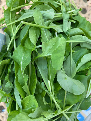 Baby Arugula (sold per pack)