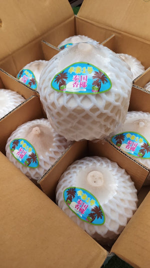 Fresh Young Thai Coconuts (per pc)