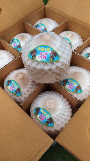 Fresh Young Thai Coconuts (per pc)