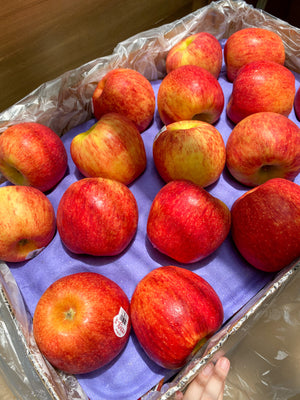 Envy Apples BIG By The Box (35pcs)