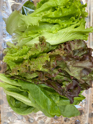 Salad Mix (sold per pack)