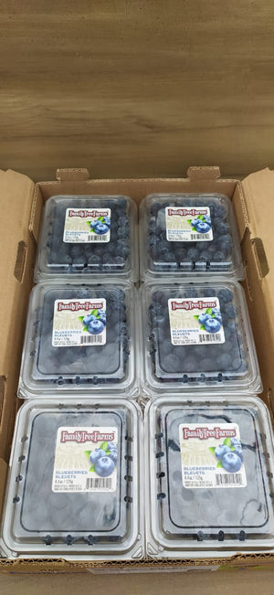 Buy 2 US Family Tree Farms Blueberries for only Php 600