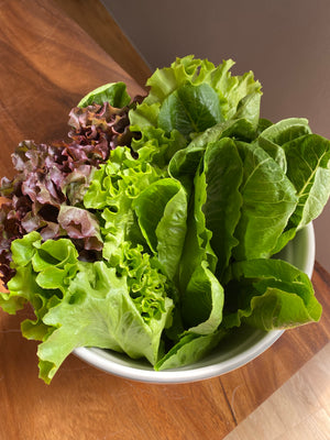 Salad Mix (sold per pack)