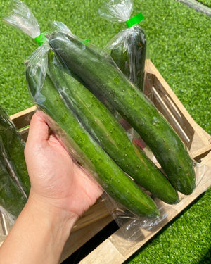 JP Cucumbers (sold per pack)