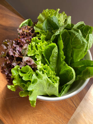 Salad Mix (sold per pack)