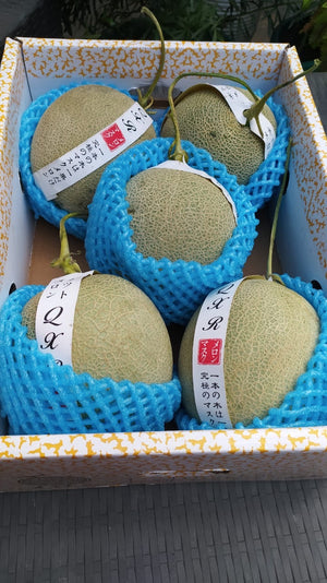 Buy 2 Japan Musk Melons for Php 1000