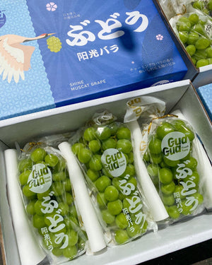 Buy 2 Premium Shine Muscat (per pack) for 800