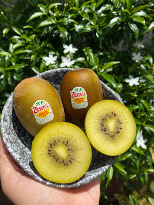 NZ Zespri Sungold Kiwi