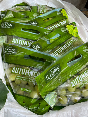 US Premium Autumn Crisp (Seedless)