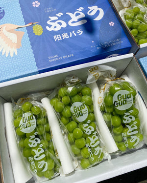 Buy 2 Premium Shine Muscat (per pack) for 800