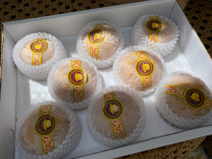 Premium Autumn Pears (sold per pc)