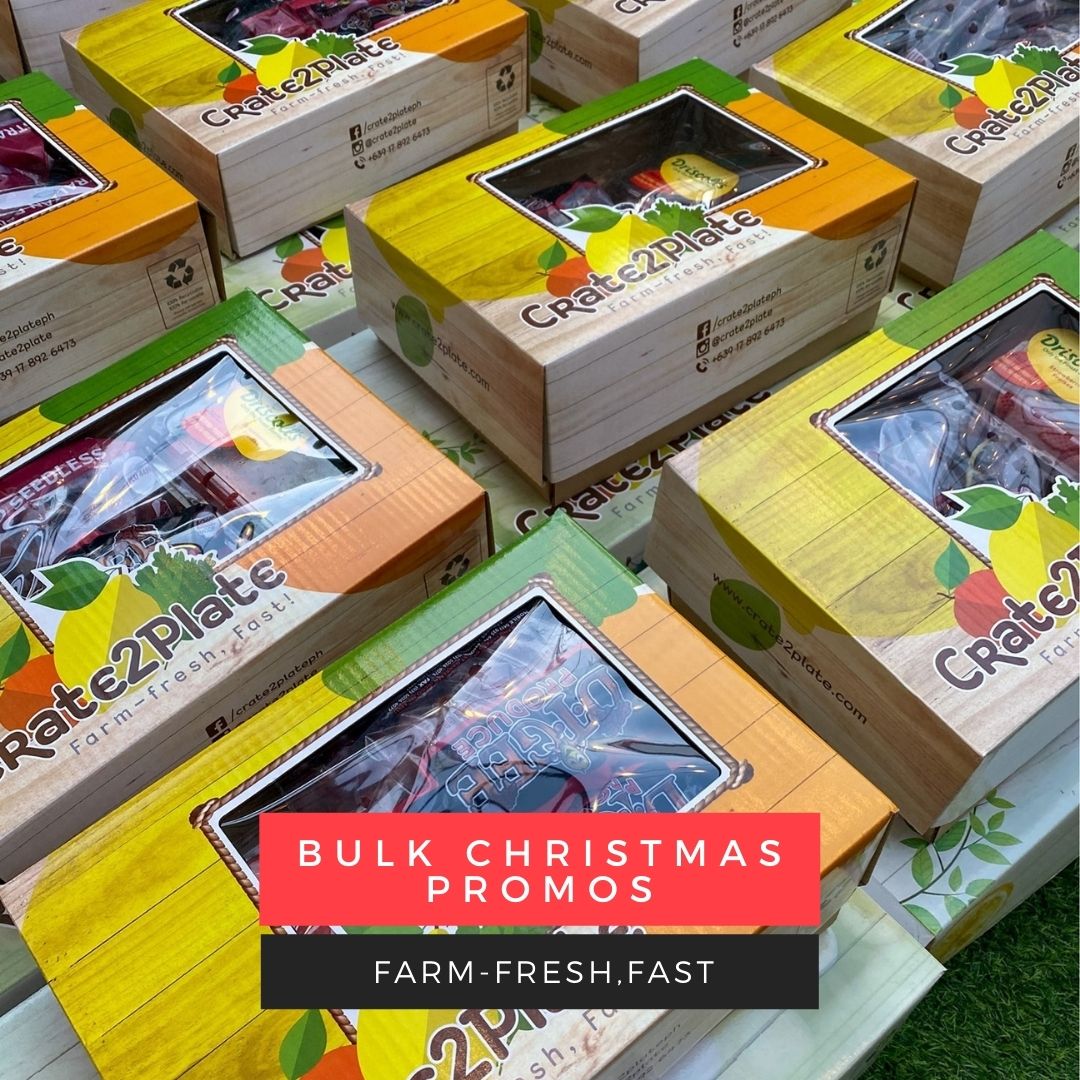 Bulk Christmas Promos