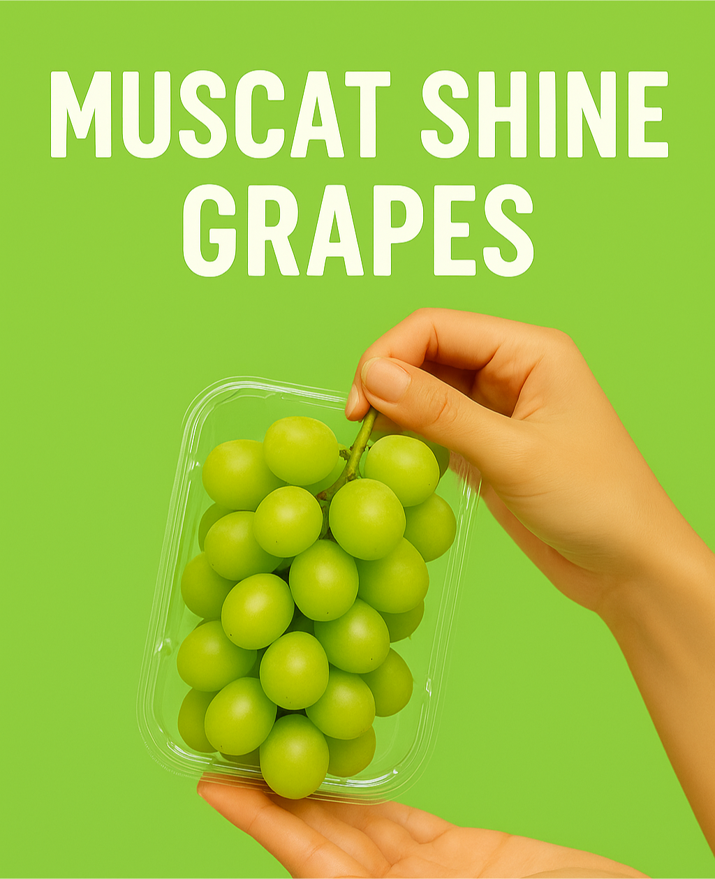 Buy 2 Regular Shine Muscat Grapes in Clamshell Packs for 500