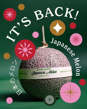 Pedro Farm's Japan Melon