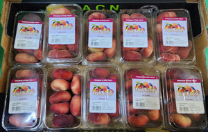 Aussie Donut Peach (sold per pack)