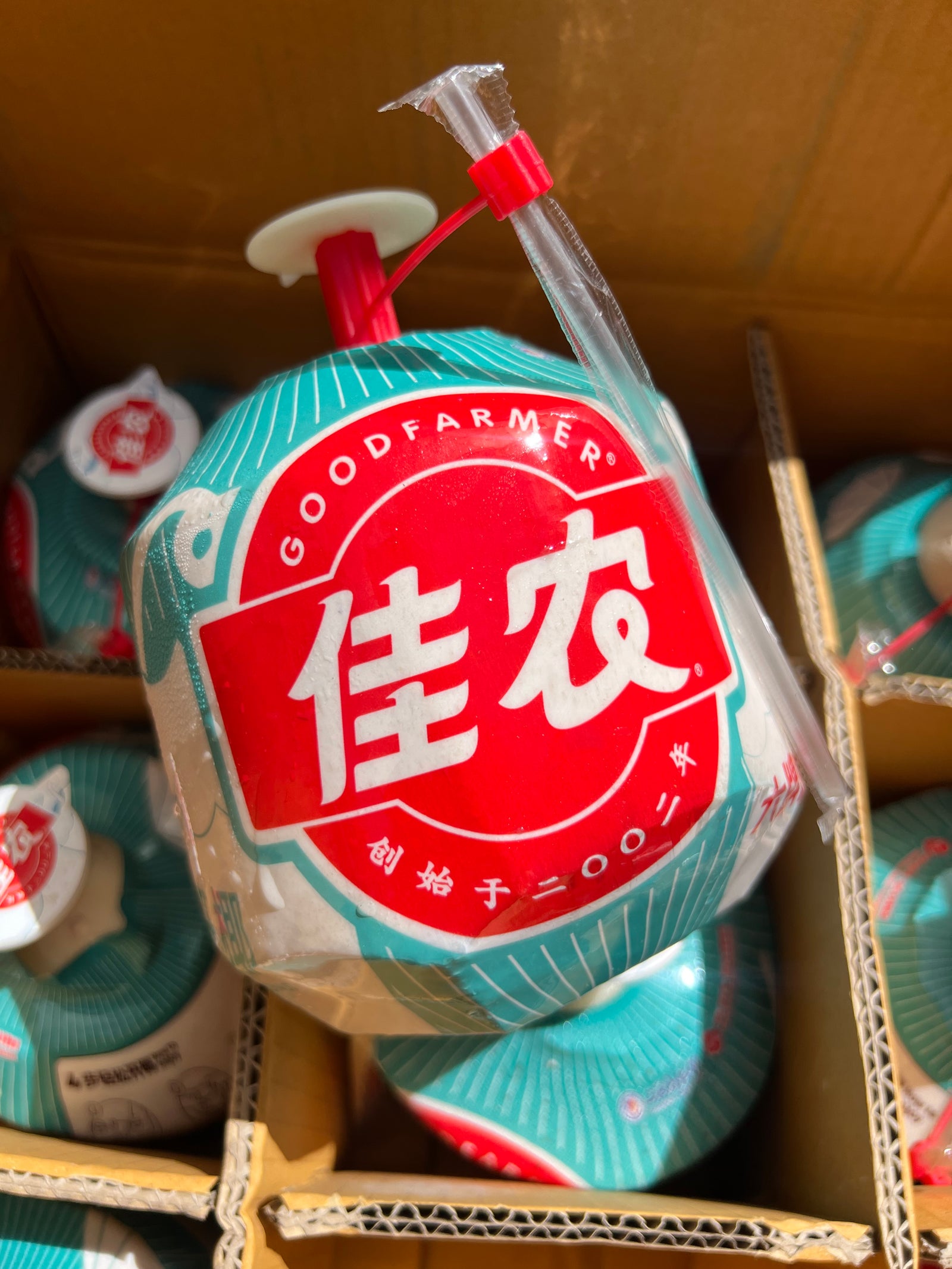 Thai Coconuts By The Box