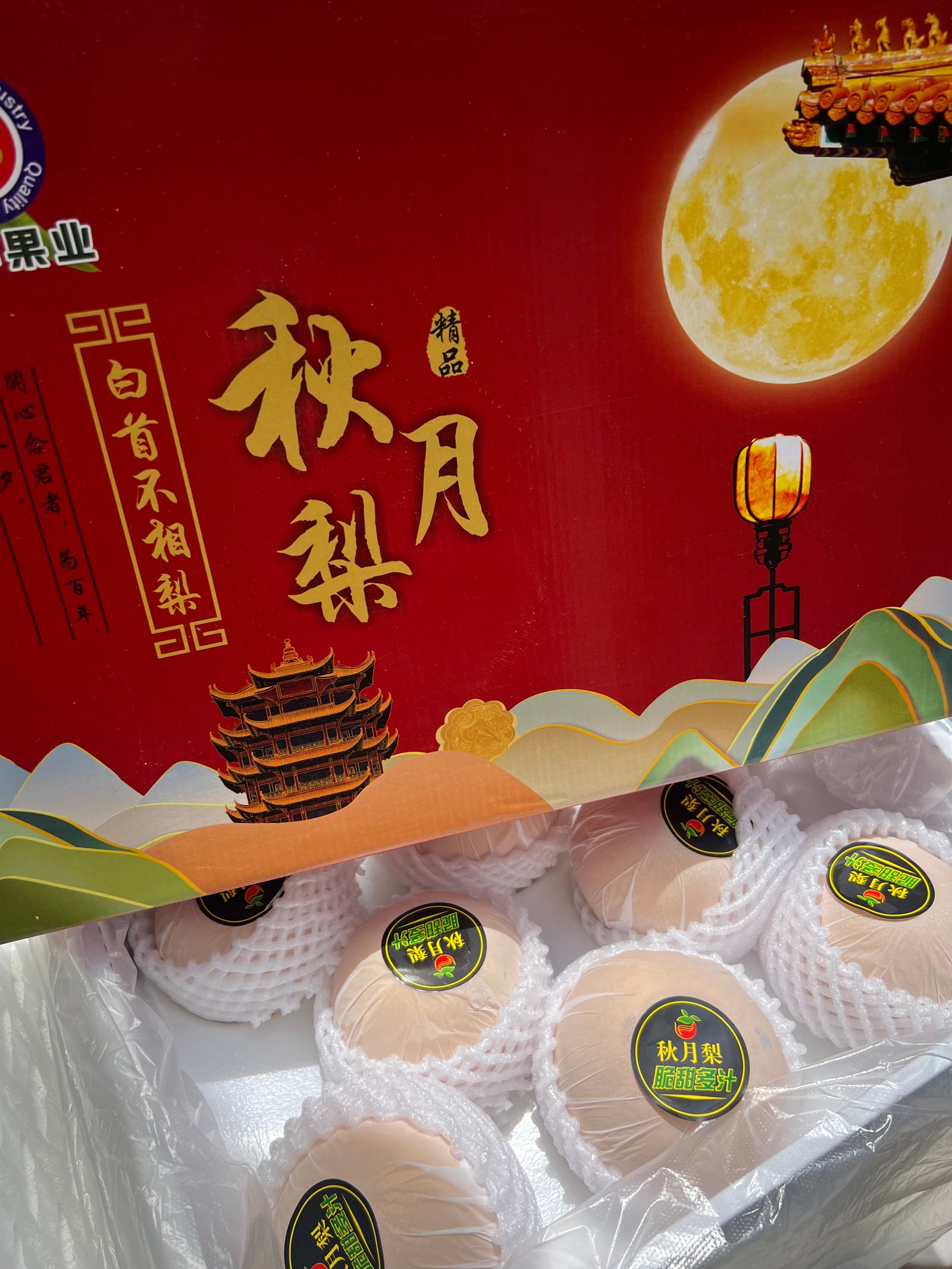 Premium Autumn Pears By the Box 9pcs