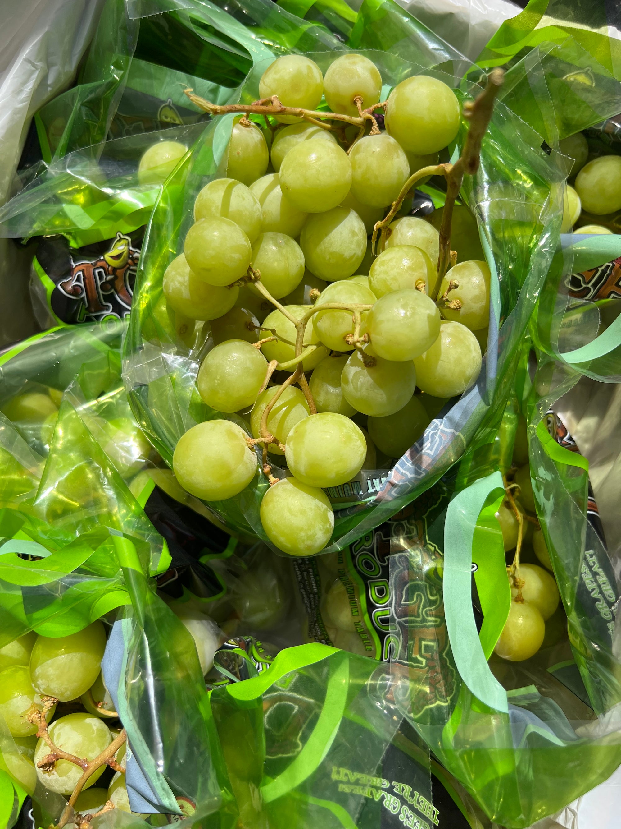 Premium Aussie Green Table Grapes