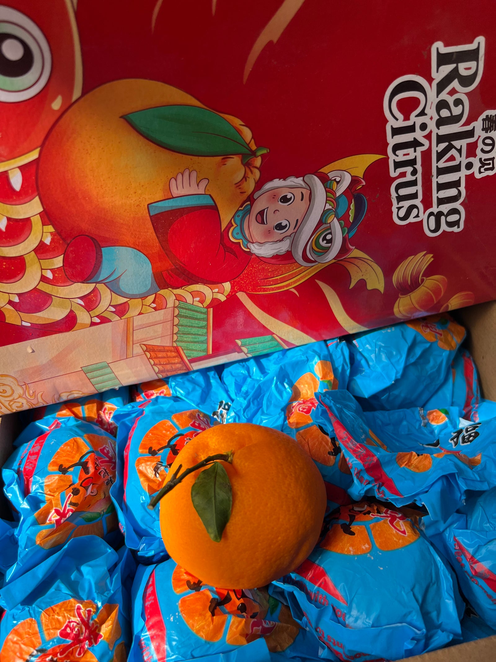 Ugly Ponkan By The Box (4kg)